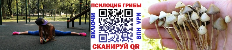 Галлюциногенные грибы GOLDEN TEACHER  Калининец 